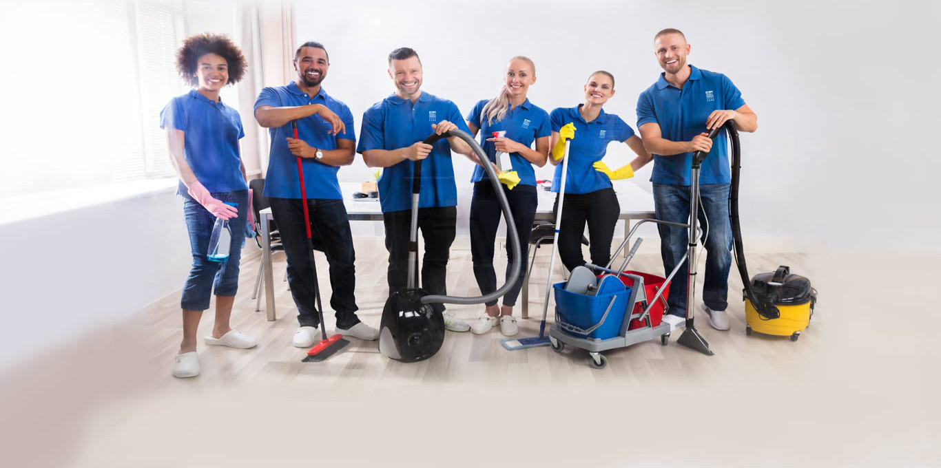 Choose professional cleaner