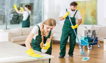 Why is professional cleaning needed?