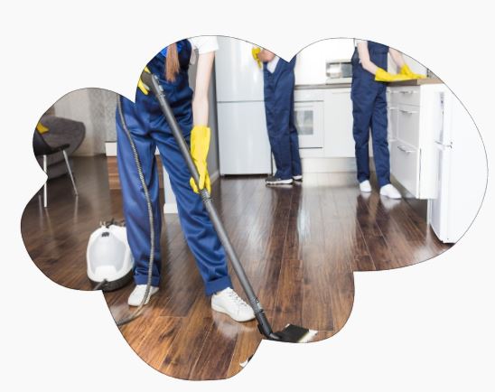 Why should take professional not DIY cleaning?