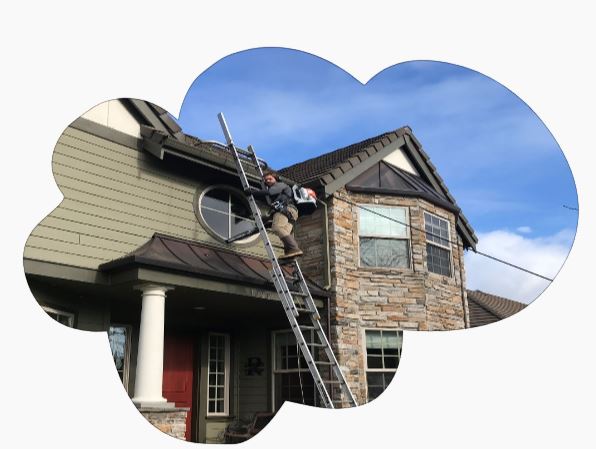 Why need a professional gutter cleaner?