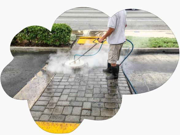 Why should take a professional pressure washer?