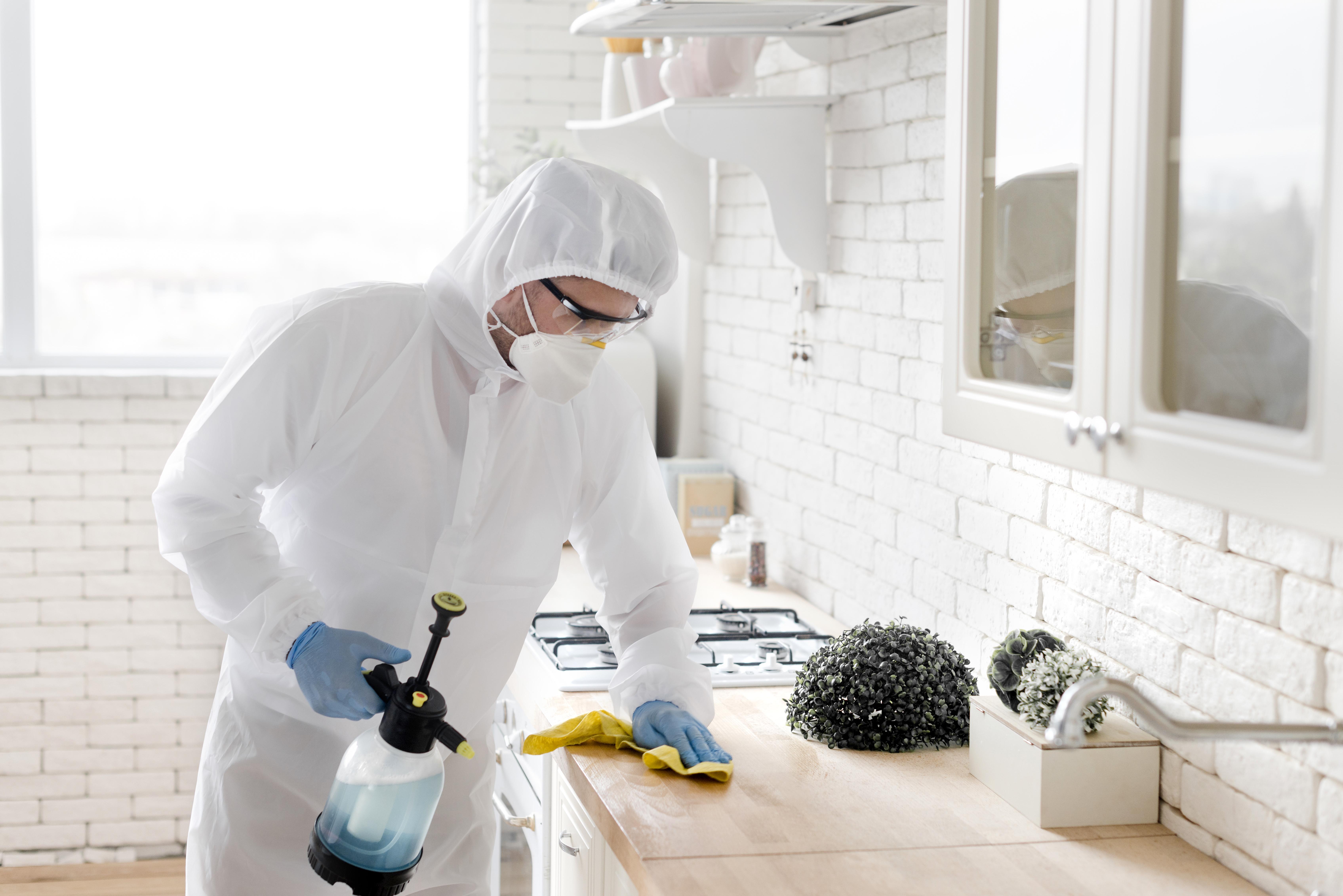 How to Get Rid of Dust Mites in Your Home
