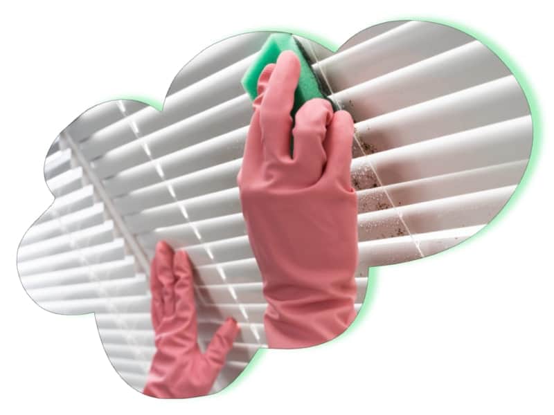 Blinds cleaning: