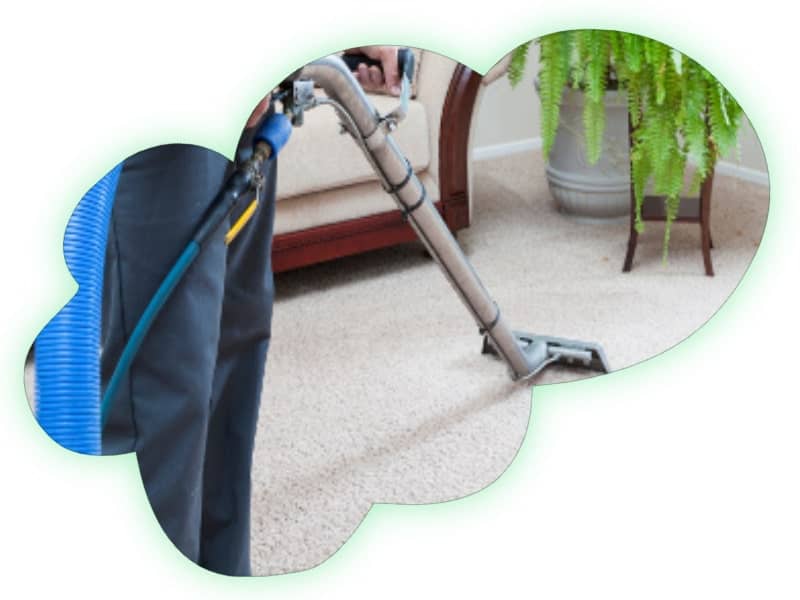 Carpet steam cleaning service frequency