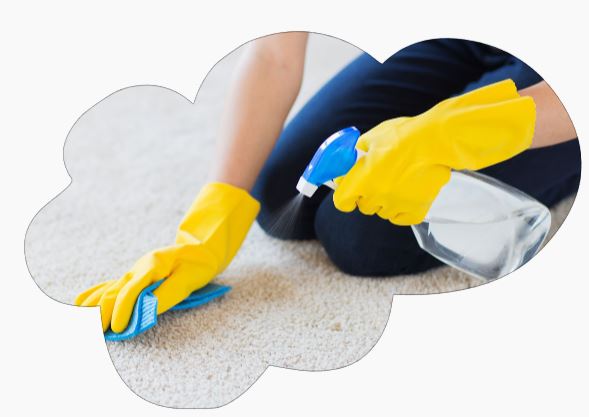 6 tips for cleaning your carpet