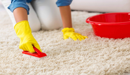 How to Maintain the Carpet in Your Home to Keep It Looking Like New