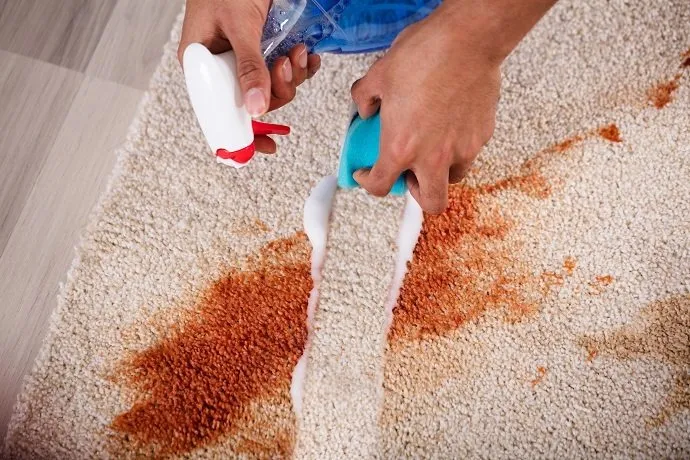 5 Ways to Remove Stains from Carpets