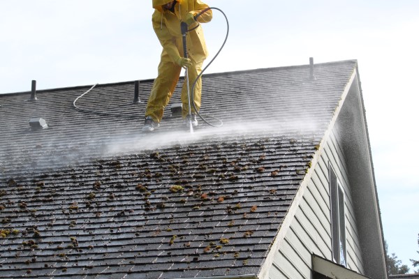 Professional roof cleaning benefits