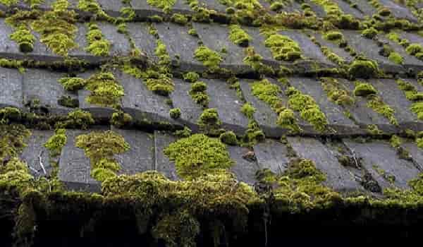 Roof restoration or roof painting <span> In Hobart</span>