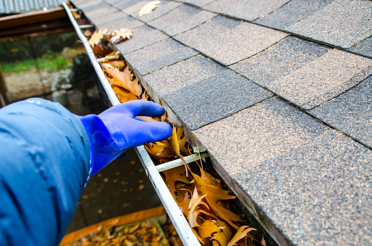 10 ways for cleaning your gutter professionally