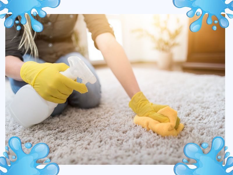 Keeping Your Carpets Fresh and Clean