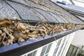 10 Warning Signs That Your Gutters Need Cleaning ASAP