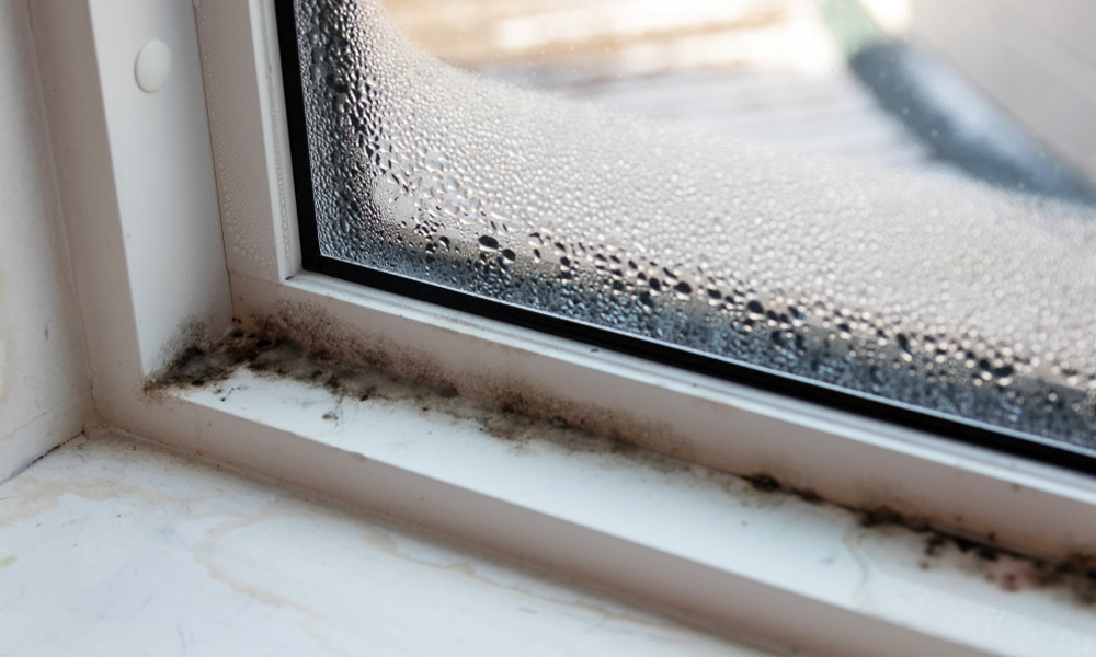 How to remove window sills mold
