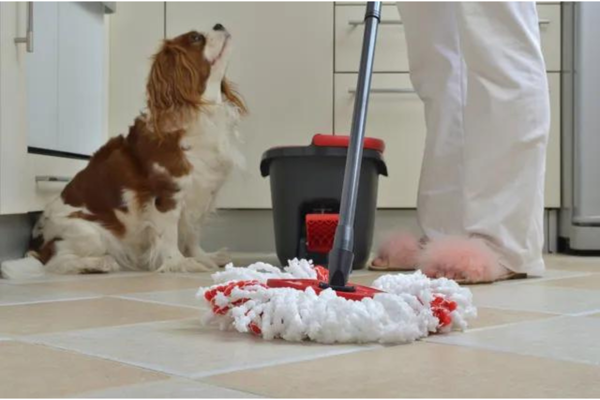 Cleaning Tips for Pet Owners