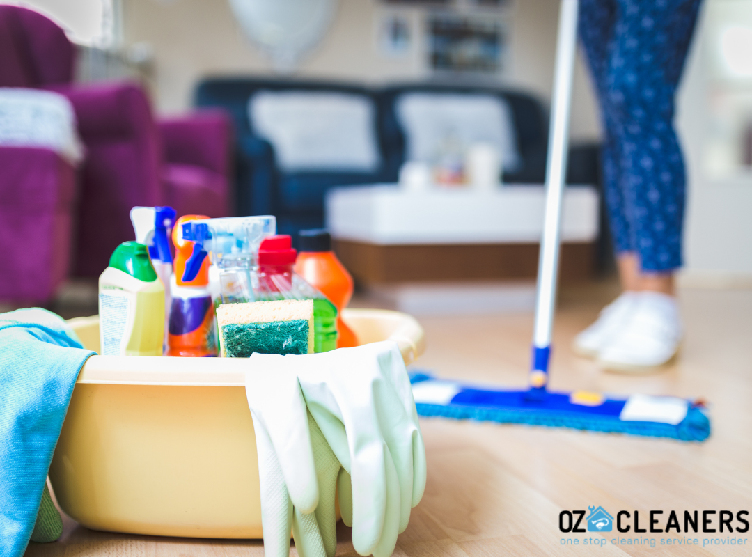 Tips to Hire Domestic Cleaners for a Fresh Home