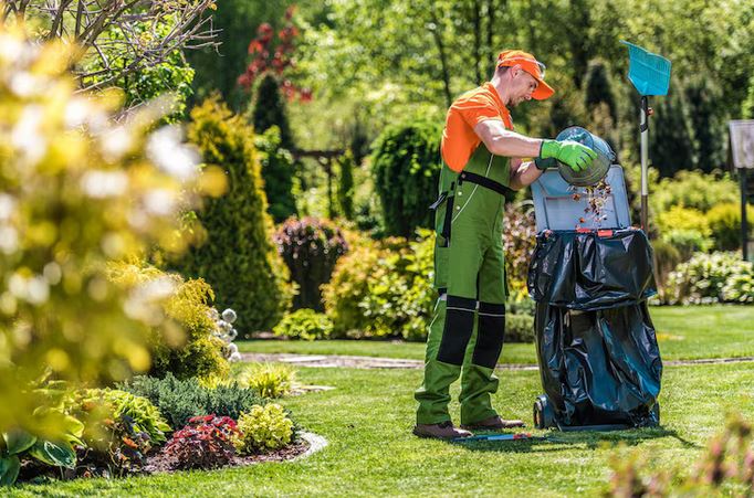 Hiring Professional Garden Cleaners vs. DIY: Pros and Cons