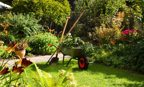 Green waste removal services in Adelaide